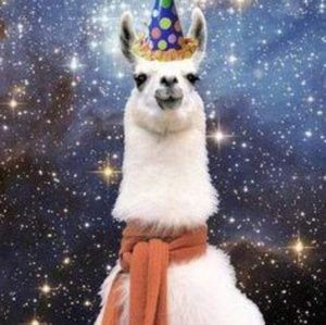 Meet your Posher, Maureen